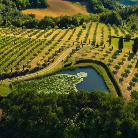 Libero Ranch 팜스테이 Paderno (Forli-Cesena)