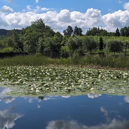 팜스테이 Libero Ranch Paderno (Forli-Cesena)