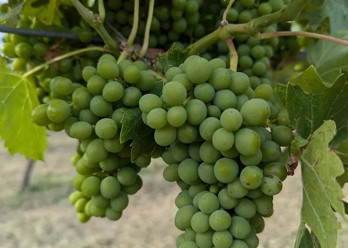 Libero Ranch Alloggio per agriturismo *