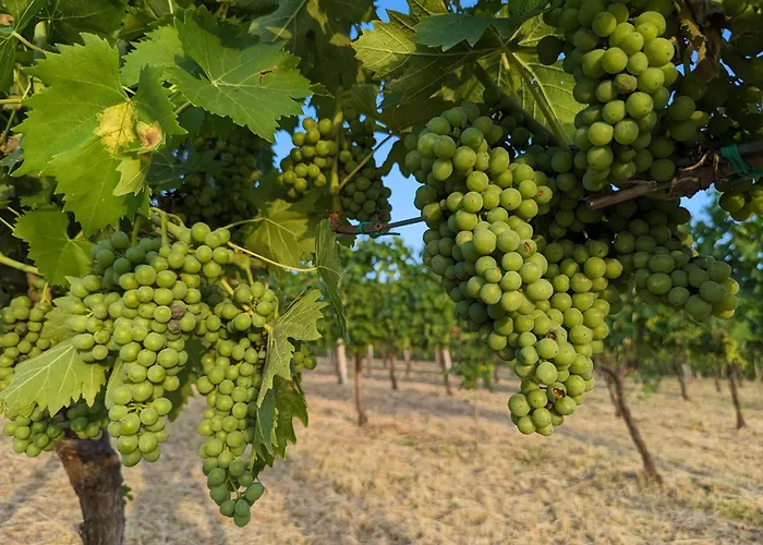 Libero Ranch Paderno (Forli-Cesena)