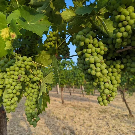 Libero Ranch Paderno (Forli-Cesena)
