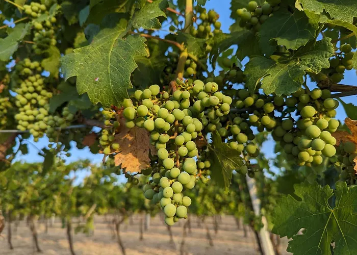 Libero Ranch Gospodarstwo agroturystyczne